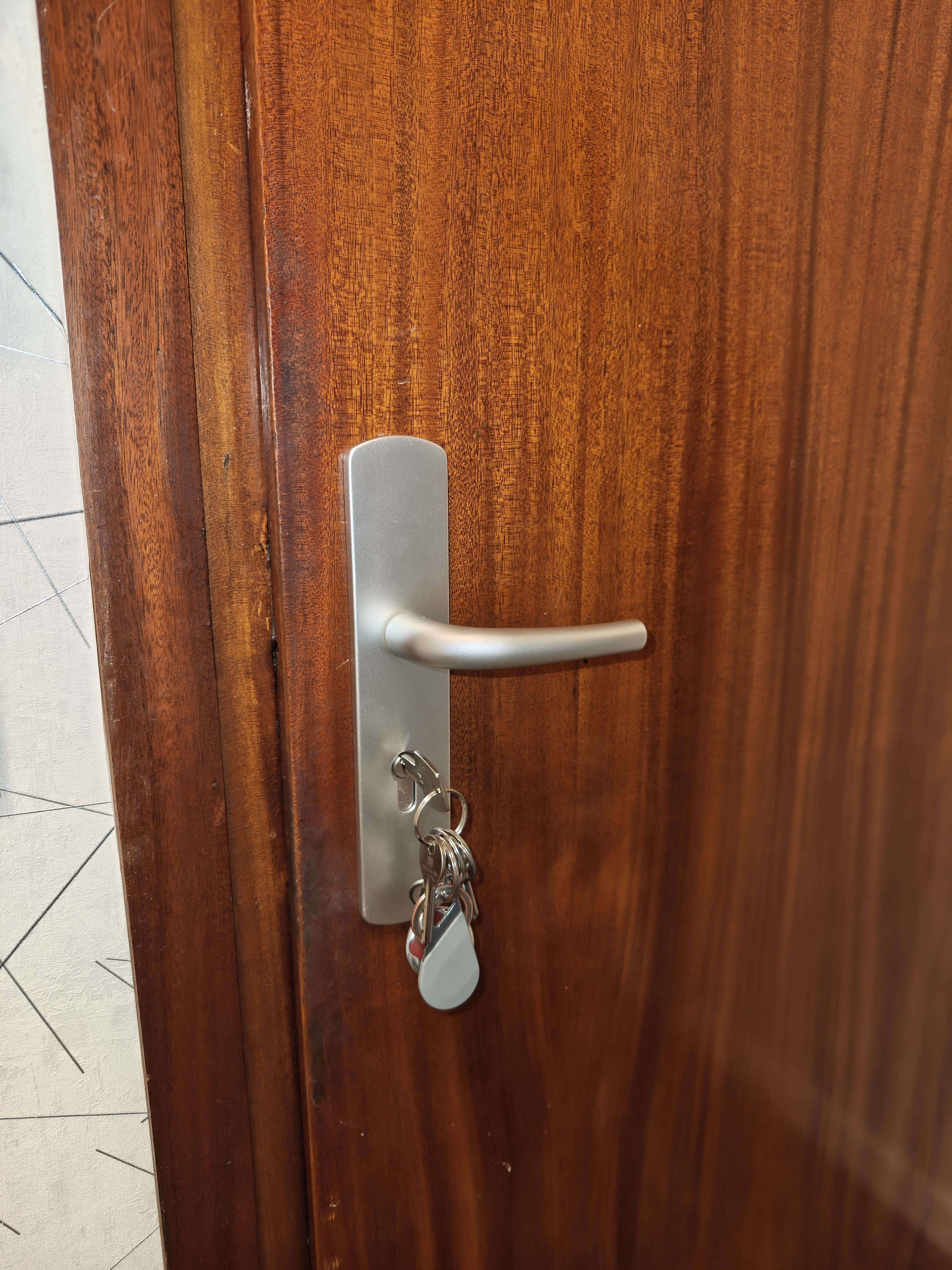 Installation poignée blindrée avec pastille anti percage avec barillet sécurisé Annonay — Urgence Habitat 38